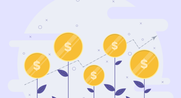 Seed Stage Startup valuation
